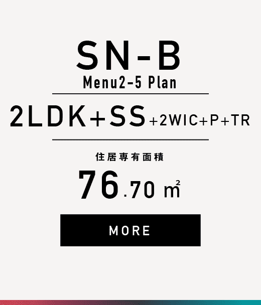 SN-B2