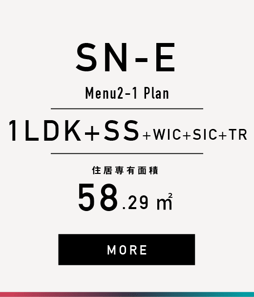 SN-E2-1
